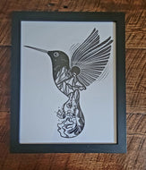 hummingbird framed print