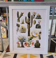 cacti framed print