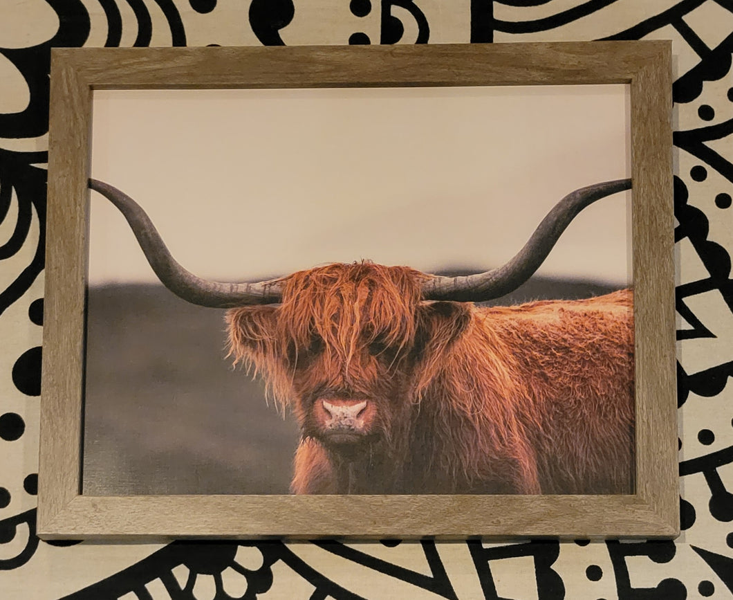 framed highland cow print